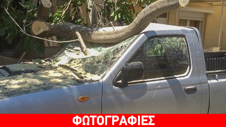 Ηράκλειο Κρήτης: Κλαδί δέντρου «προσγειώθηκε» σε σταθμευμένο όχημα